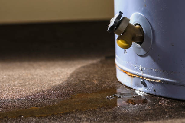 Best Water damage cleanup near me  in Fairfax, SC