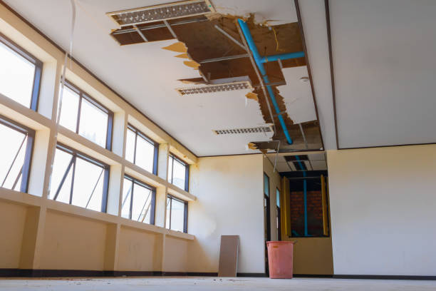 Best 24-hour water damage restoration  in Fairfax, SC