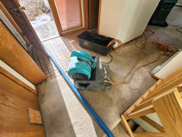 Best Flooded house restoration  in Fairfax, SC