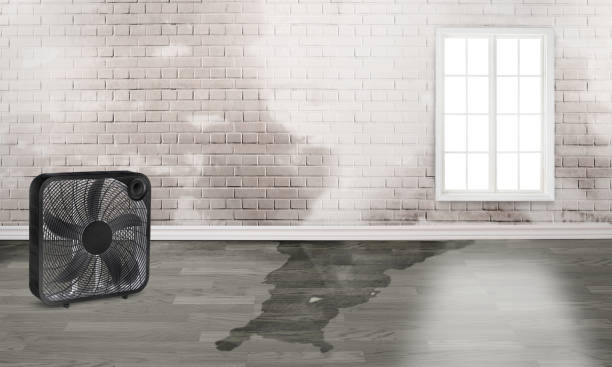 Best Flood damage cleanup  in Fairfax, SC
