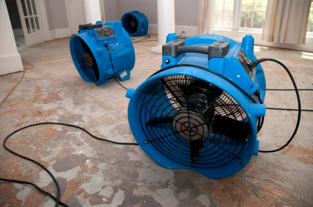 Best Carpet water damage restoration  in Fairfax, SC