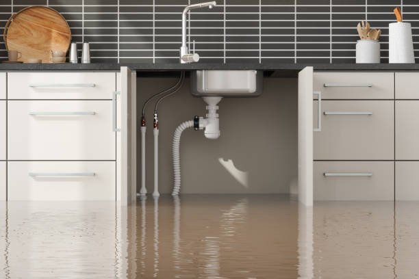 Best Sewage cleanup and water damage restoration  in Fairfax, SC